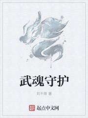 武魂守护