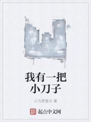 我有一把小刀子