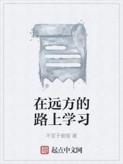 在远方的路上学习