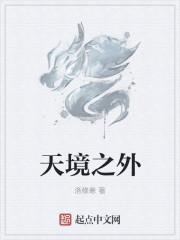 天境之外