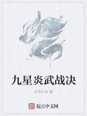 九星炎武战决