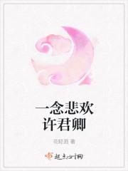 一念悲欢许君卿