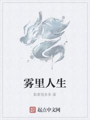 雾里人生
