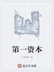 第一资本