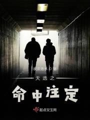 天选之命中注定