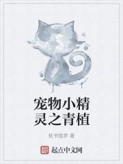宠物小精灵之青植