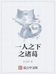 一人之下之诸葛