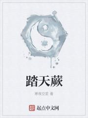 踏天蕨