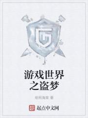 游戏世界之盗梦