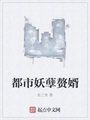 都市妖孽赘婿