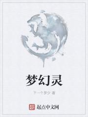 梦幻灵