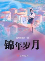 锦年岁月