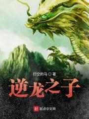 逆龙之子