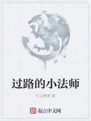 过路的小法师