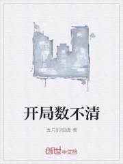 开局数不清