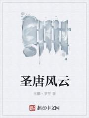 圣唐风云
