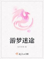 游梦迷途