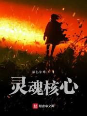 灵魂核心