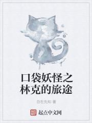 口袋妖怪之林克的旅途