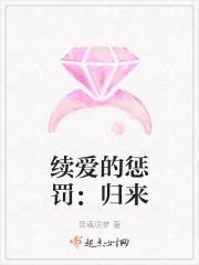 续爱的惩罚:归来