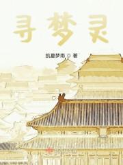 寻梦灵