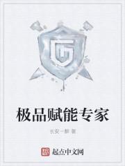 极品赋能专家