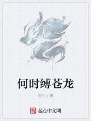 何时缚苍龙