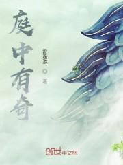 庭中有奇
