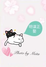 明谋正娶