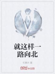 就这样一路向北
