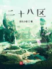 二十八区