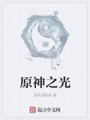 原神之光