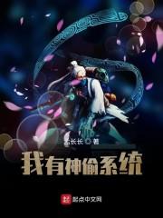我有神偷系统