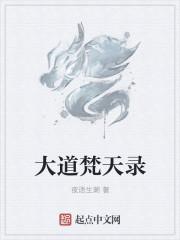 大道梵天录