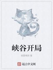 峡谷开局