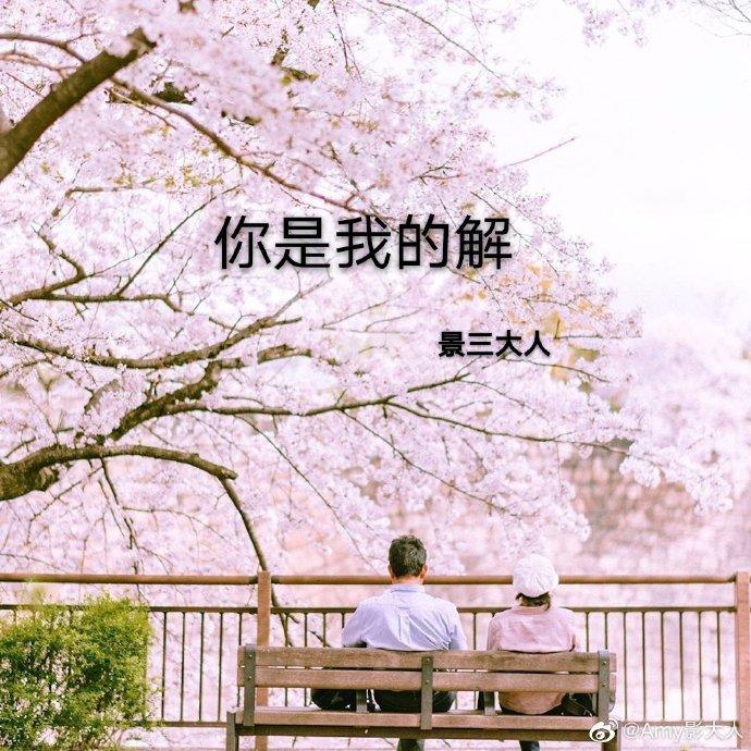 你是我的解