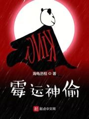 硬核盗贼