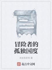 冒险者的孤独国度