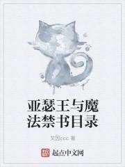亚瑟王与魔法禁书目录