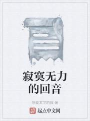 寂寞无力的回音