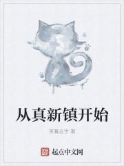 从真新镇开始