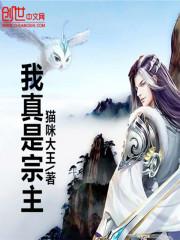 我真是宗主