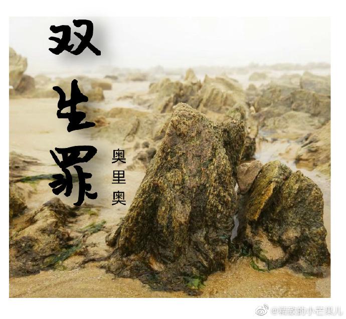 双生罪