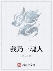 我乃一魂人