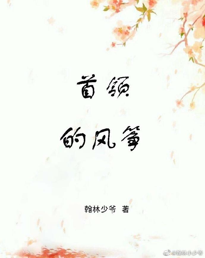 首领的风筝