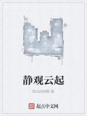 静观云起