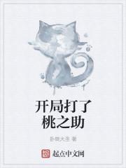 开局打了桃之助