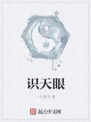 识天眼