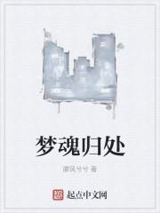 梦魂归处