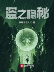 盗之隐秘